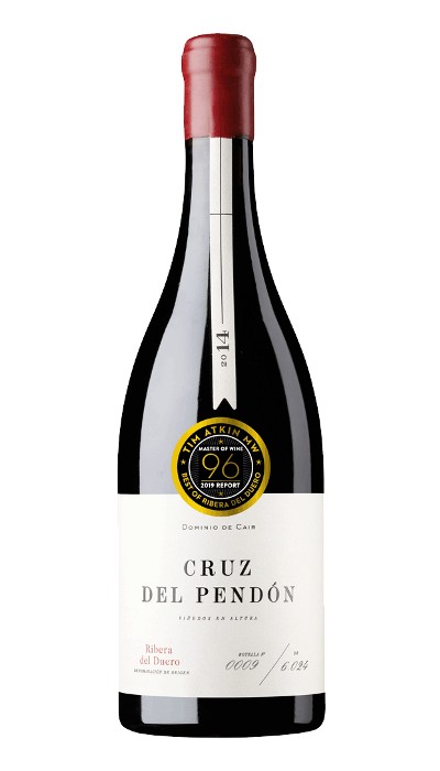 Cruz del Pendón 2017