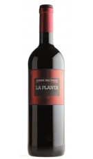 La Planta Magnum 2020