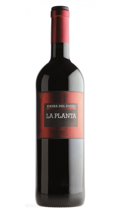 La Planta Magnum 2020