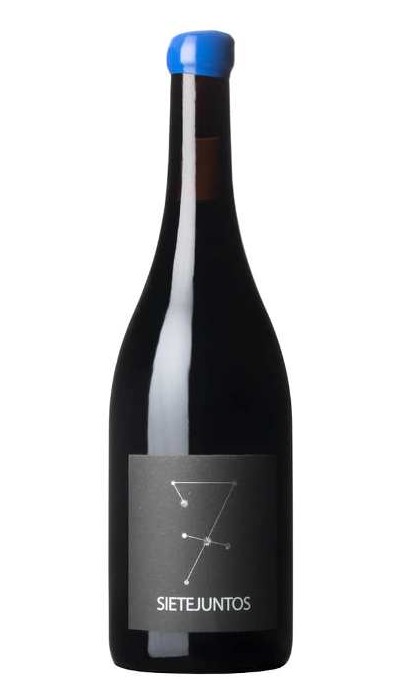 MicroBio Sietejuntos Syrah 2021