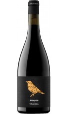 Viña Zorzal Chardonnay 2015